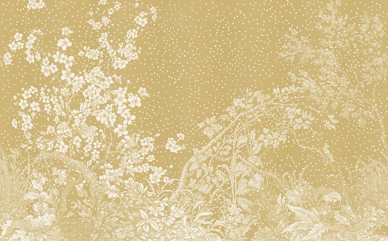 Hiyoku
