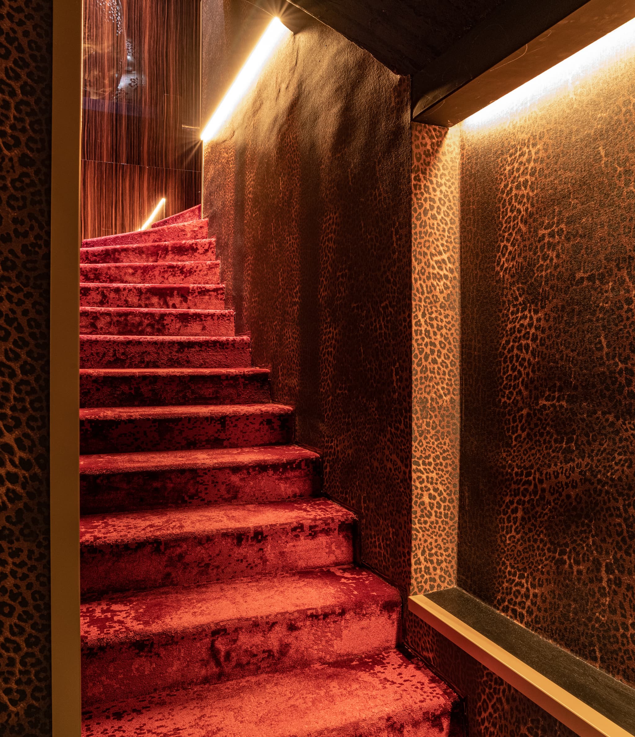 Riviera — Image 8