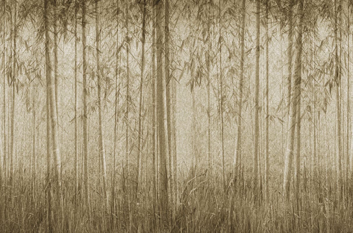 Sauvage by Unknown
