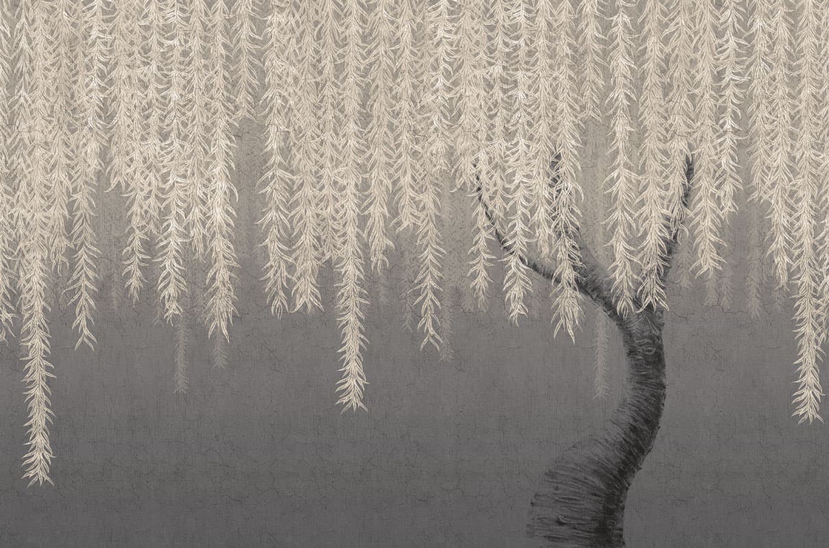 Willow by Unknown
