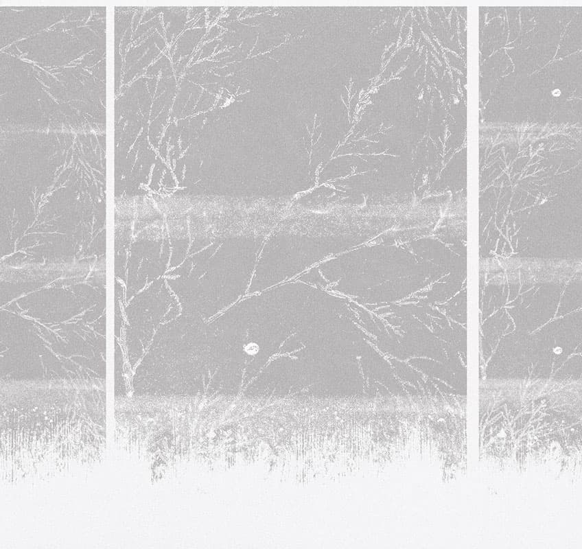 Japanese — 16007-03B