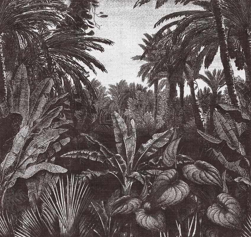 Tropical Mornings by Unknown
