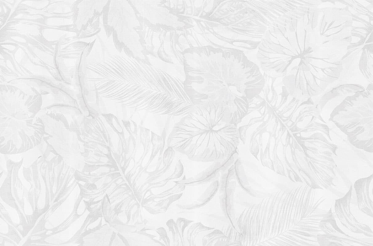 Tropical by Unknown