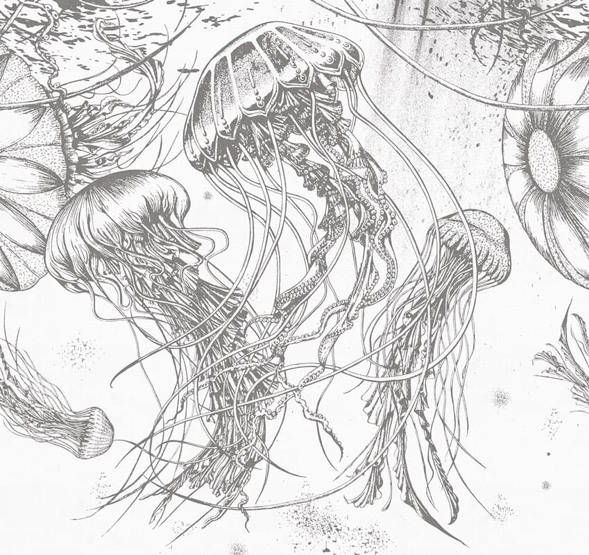 Medusa by Unknown