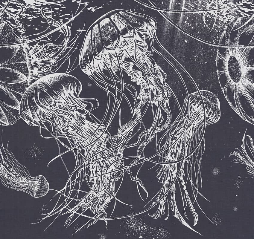 Medusa — 17513-3