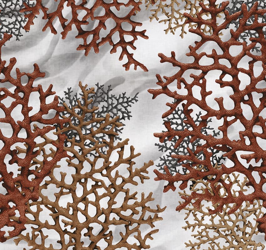 Coralina by Unknown
