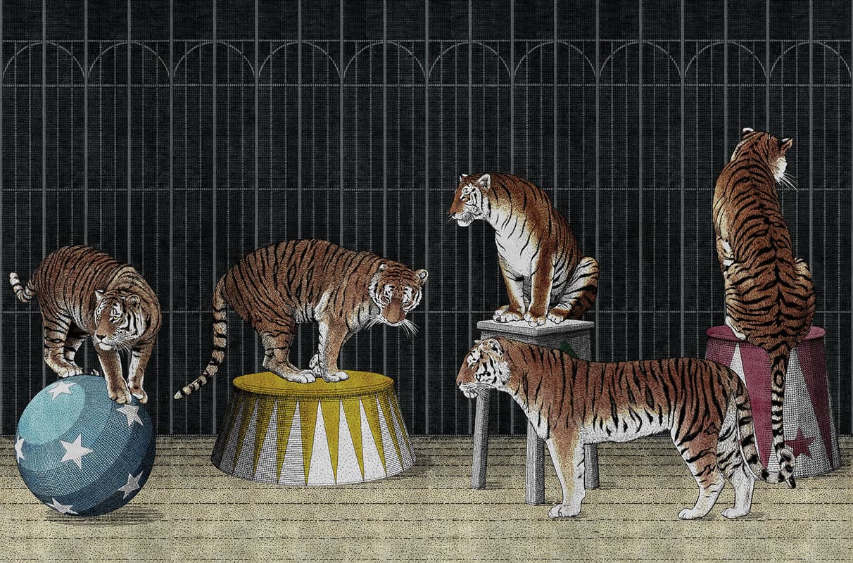 tigers — 19004-02