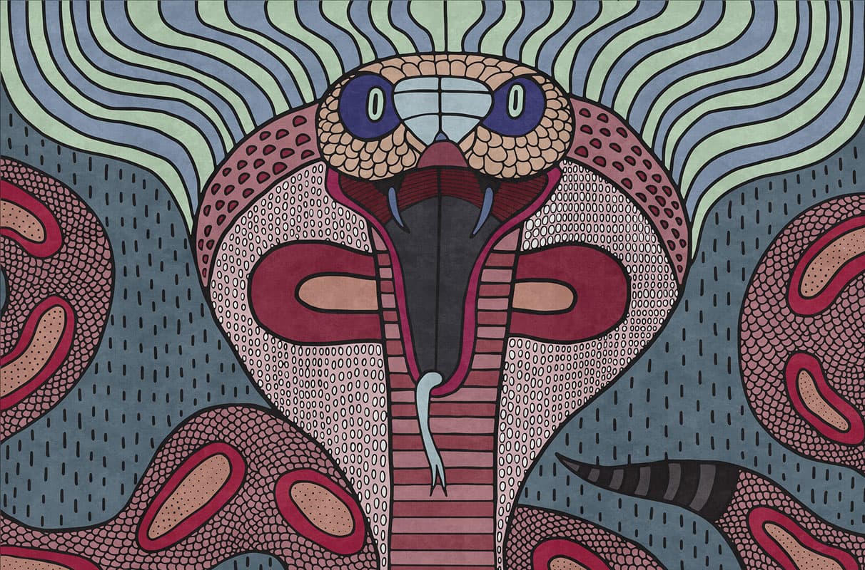 Cobra by Unknown