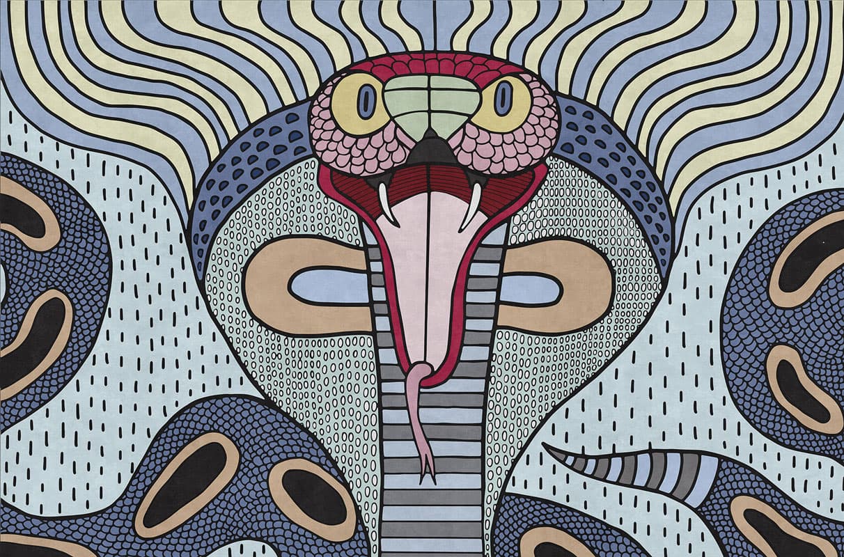 Cobra — 19005-02