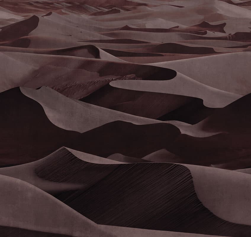 Dune