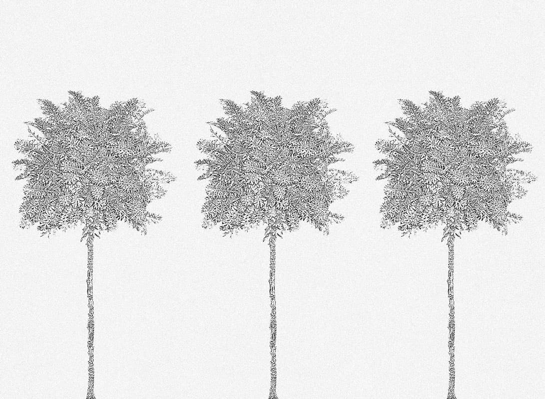 trees — 19036-04