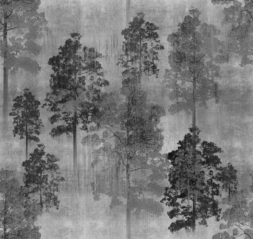Nerofumo by Unknown