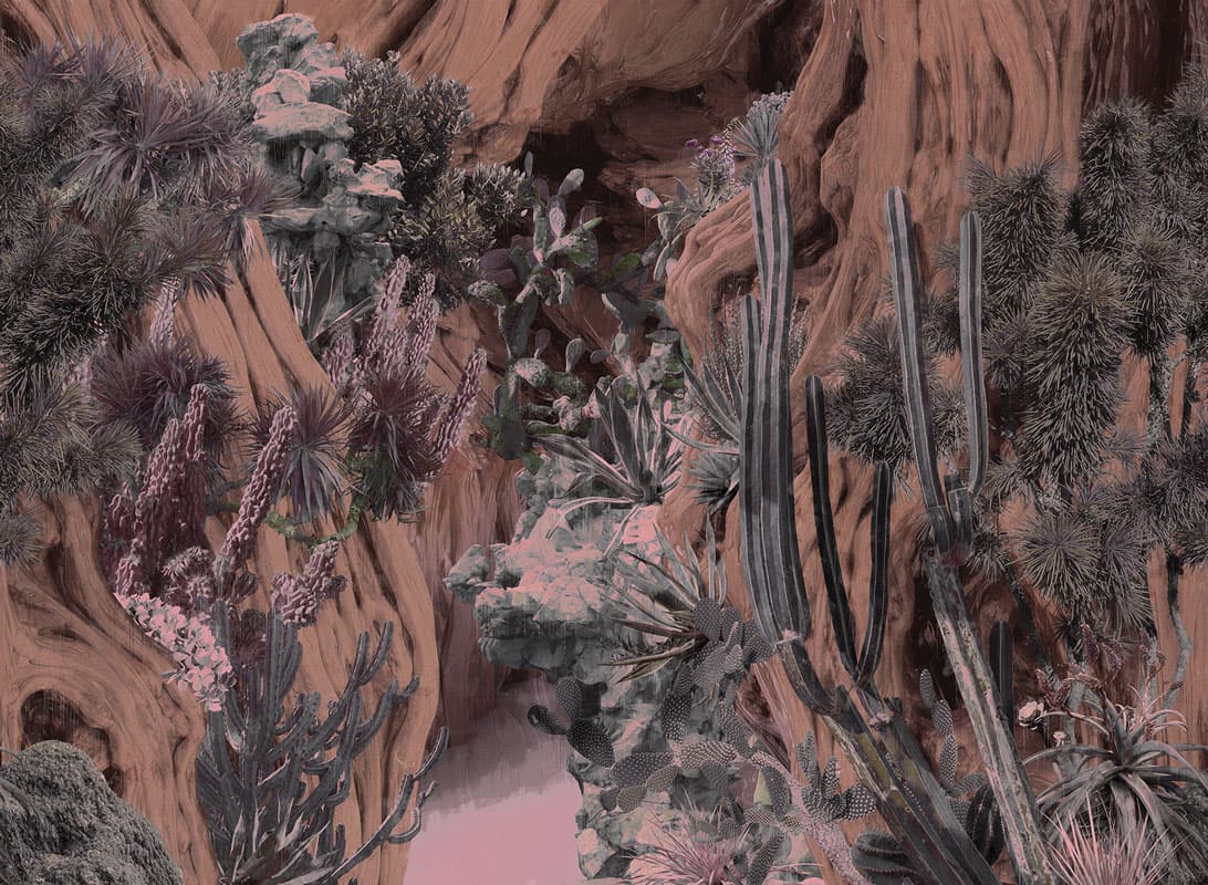 Navajo Dream by Unknown