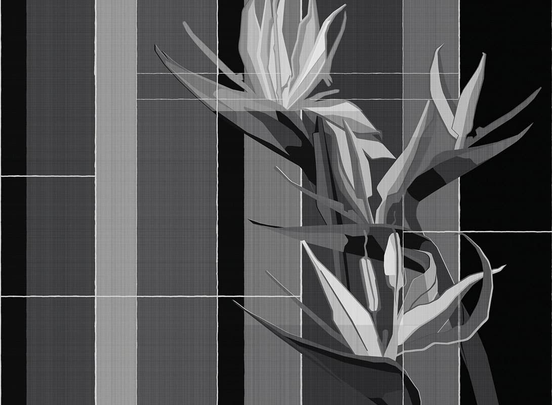 Strelitzia — 21012-06