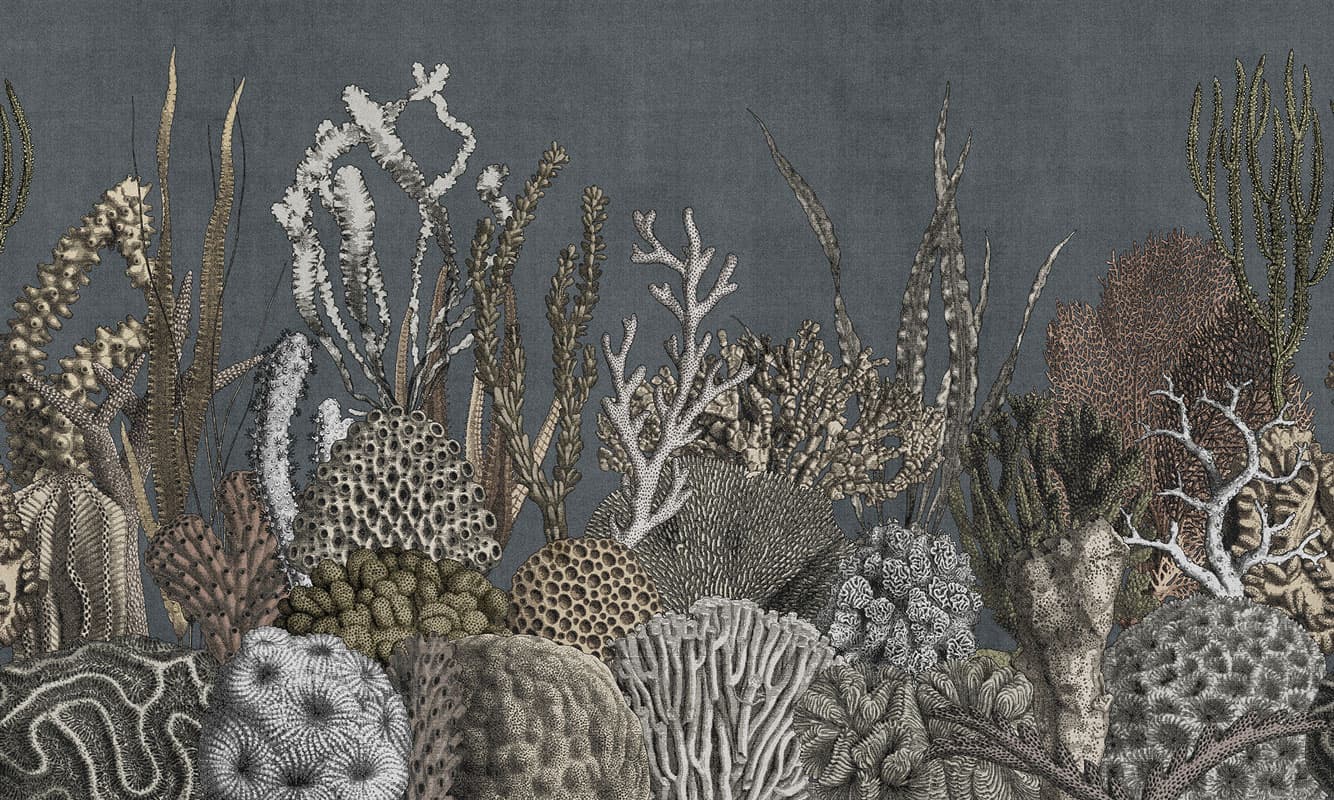 See Sea by Unknown