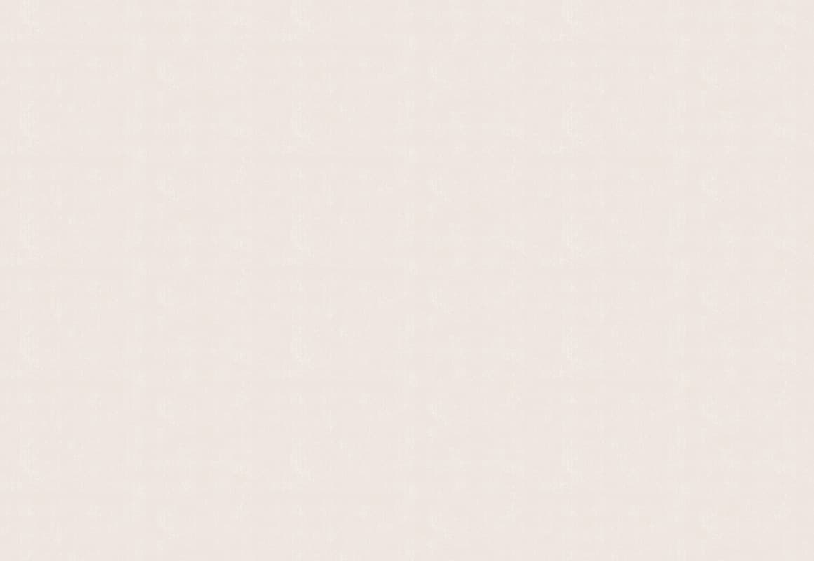 Lizard — 24001-1B