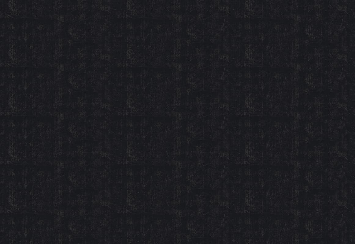Lizard — 24001-3B