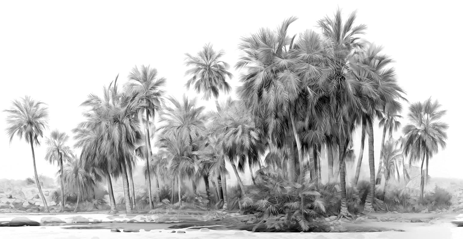 Marrakech by Nicola Bottegal