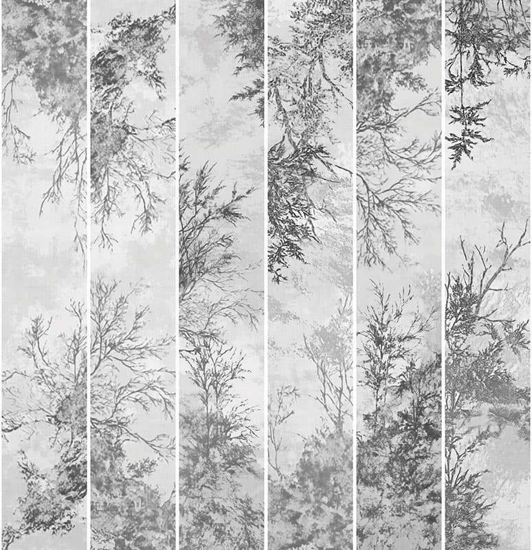 Echoes of the Forest — 25036-02