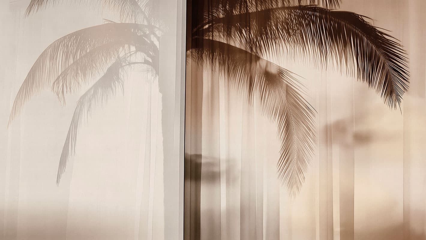 Soft Meridian — Room Scene 2