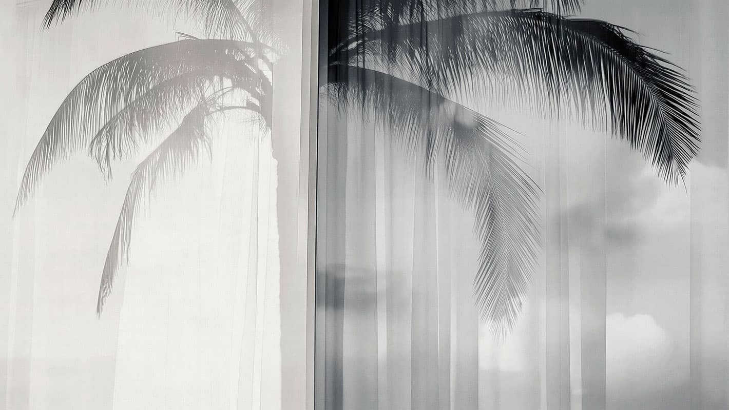 Soft Meridian — Room Scene 3