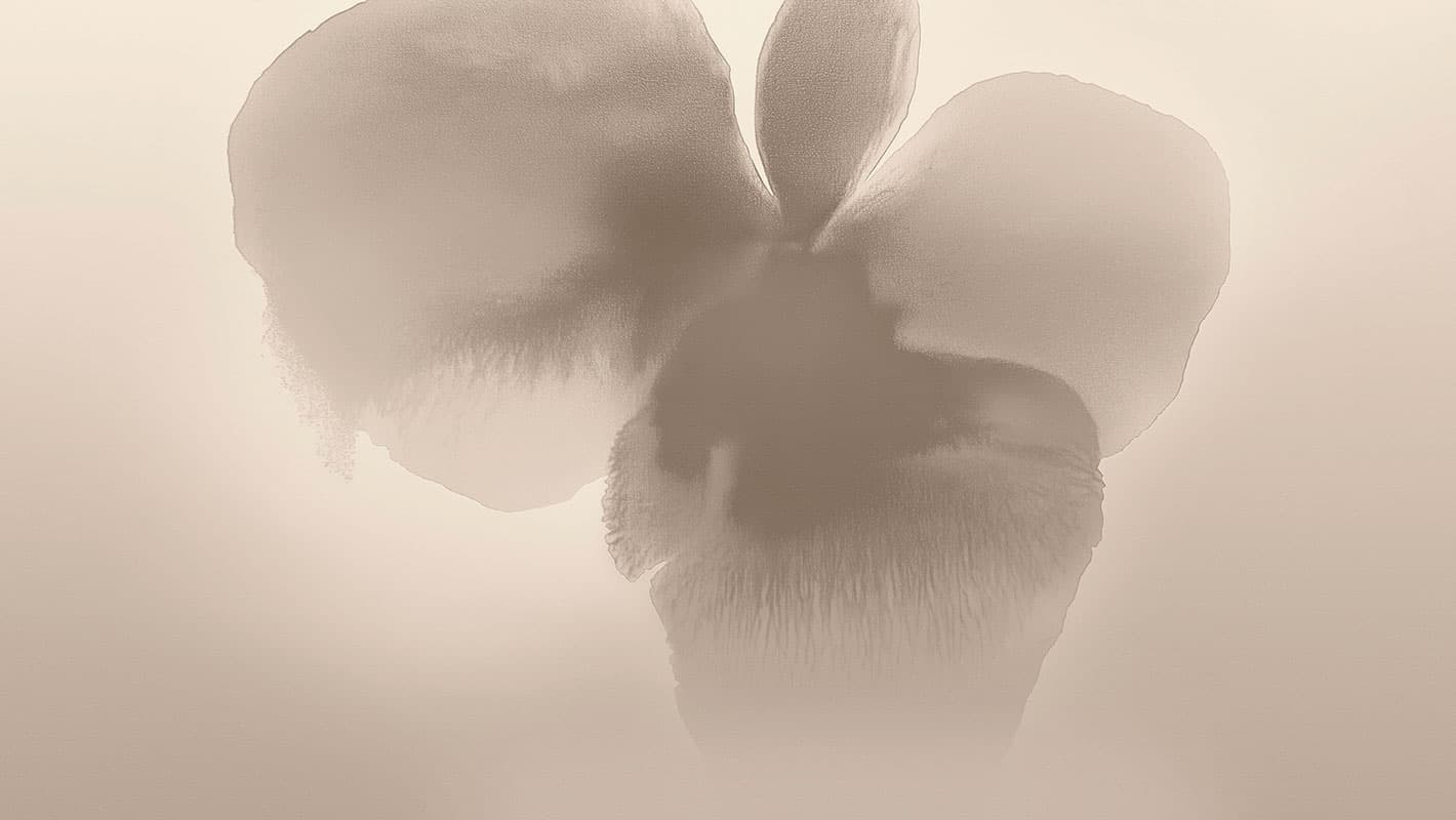 ExclusiveWallpaper 25 — Room Scene 16