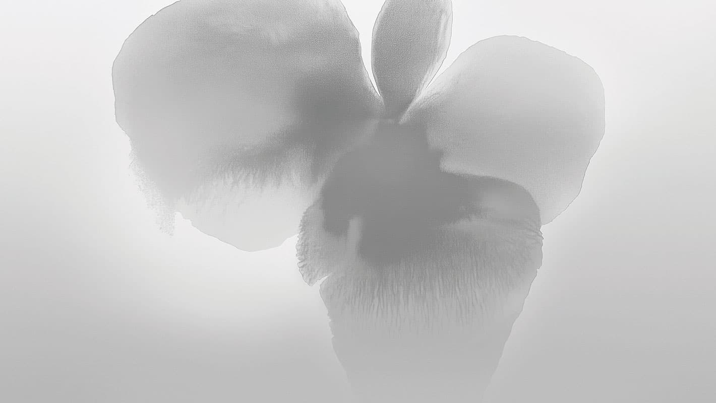 ExclusiveWallpaper 25 — Room Scene 17
