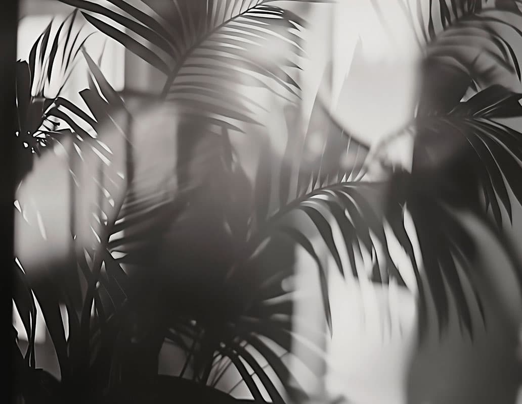 Linear Palms — Room Scene 1