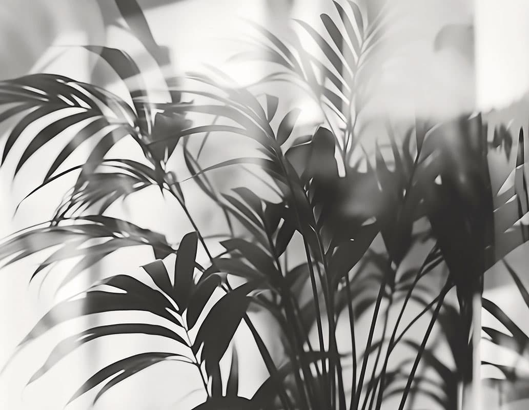 Linear Palms — Room Scene 2