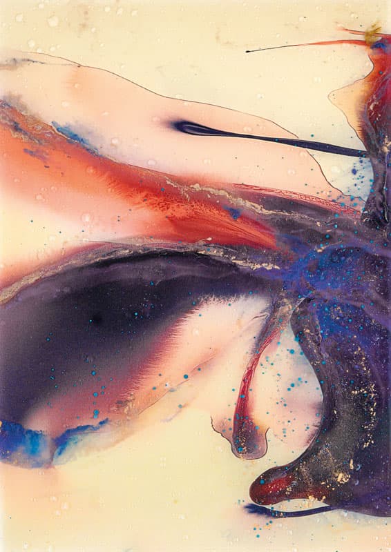 Lily — EWP1017-1