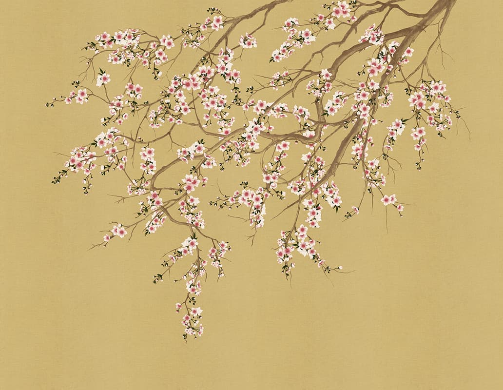 Haori by Tale Books