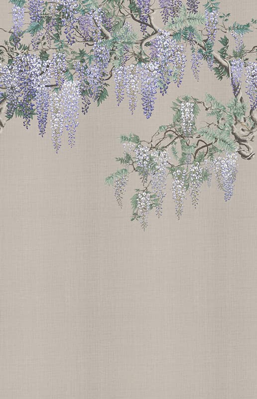 Iromuji — KMN07-E