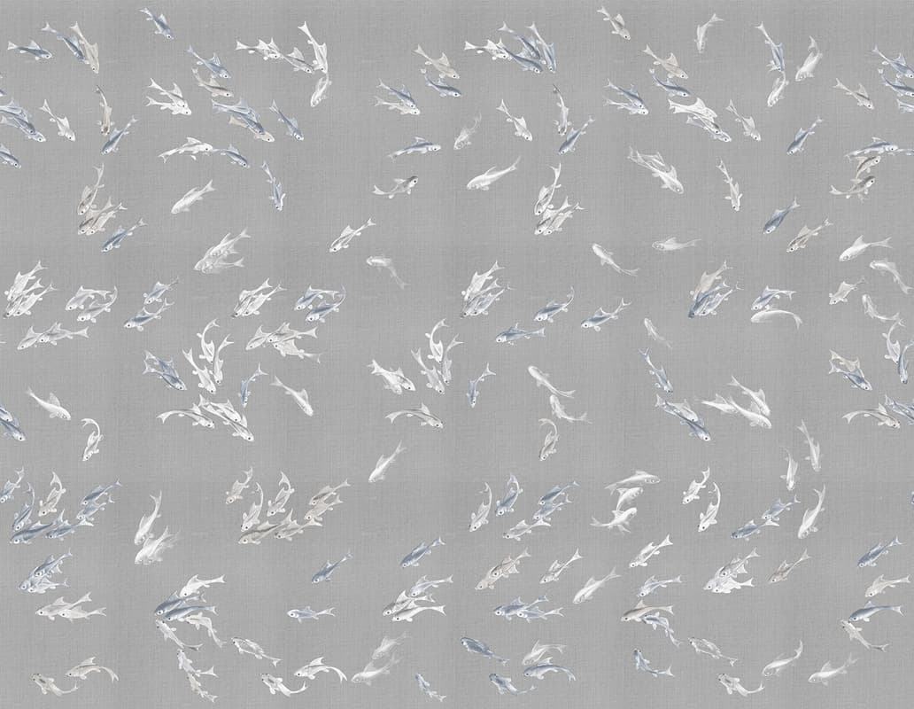 Hakma — KMN11-D