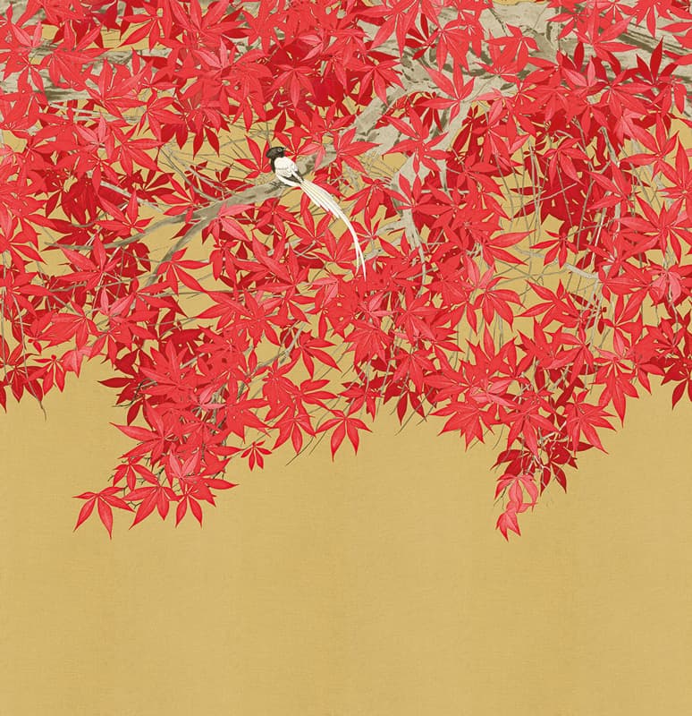Tsukesage — KMN20-A