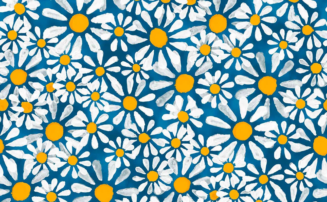 Euphoria by MARNI