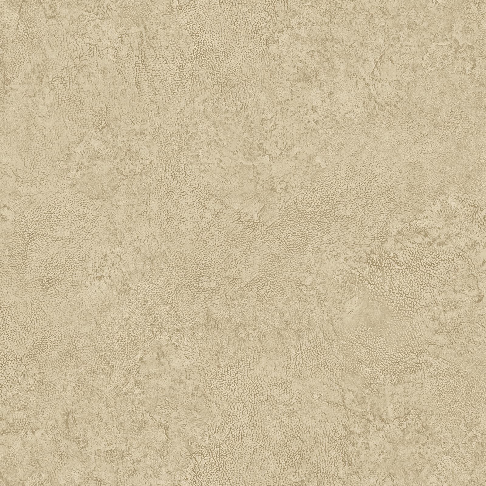 Nuvia by HOME