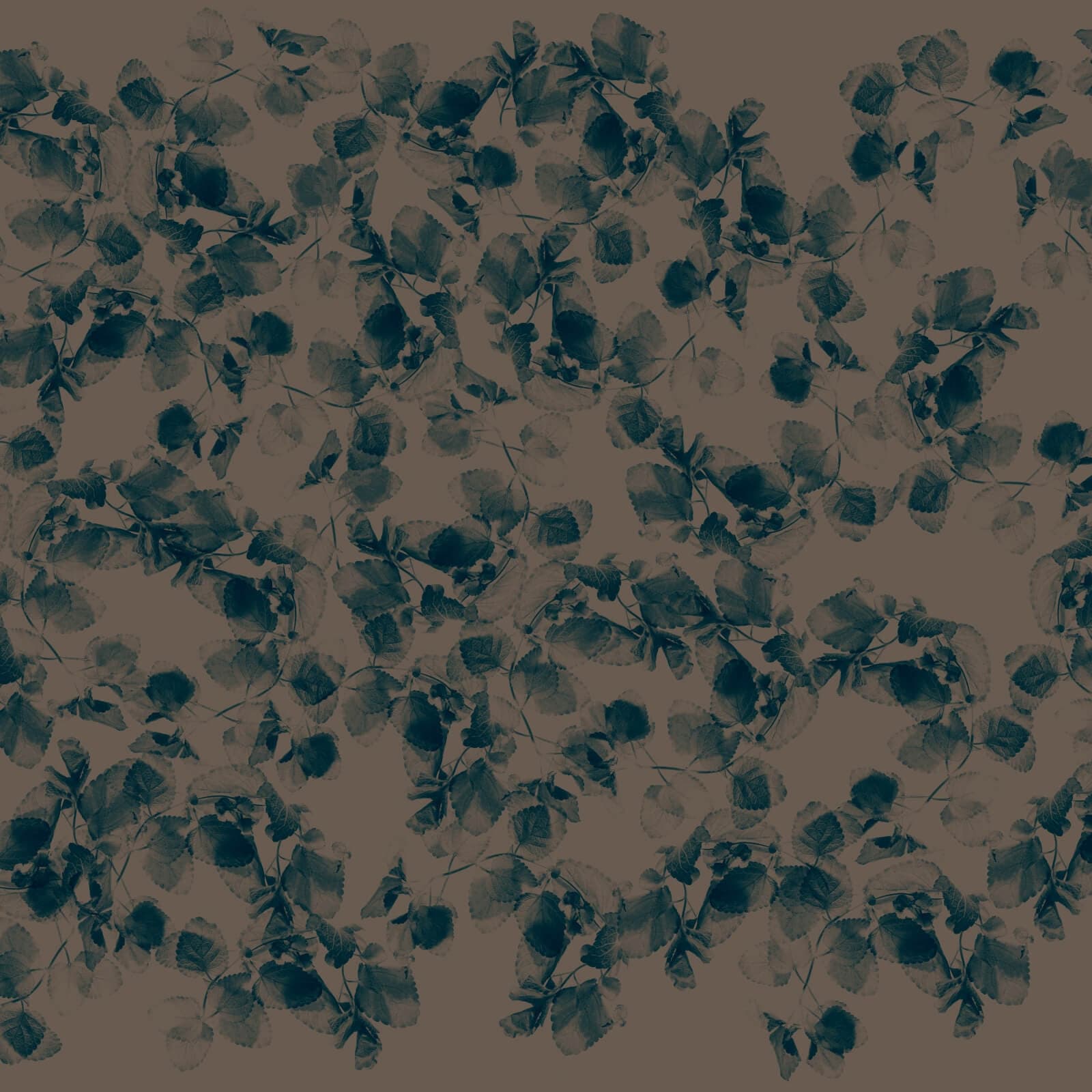 Foliage by Project II