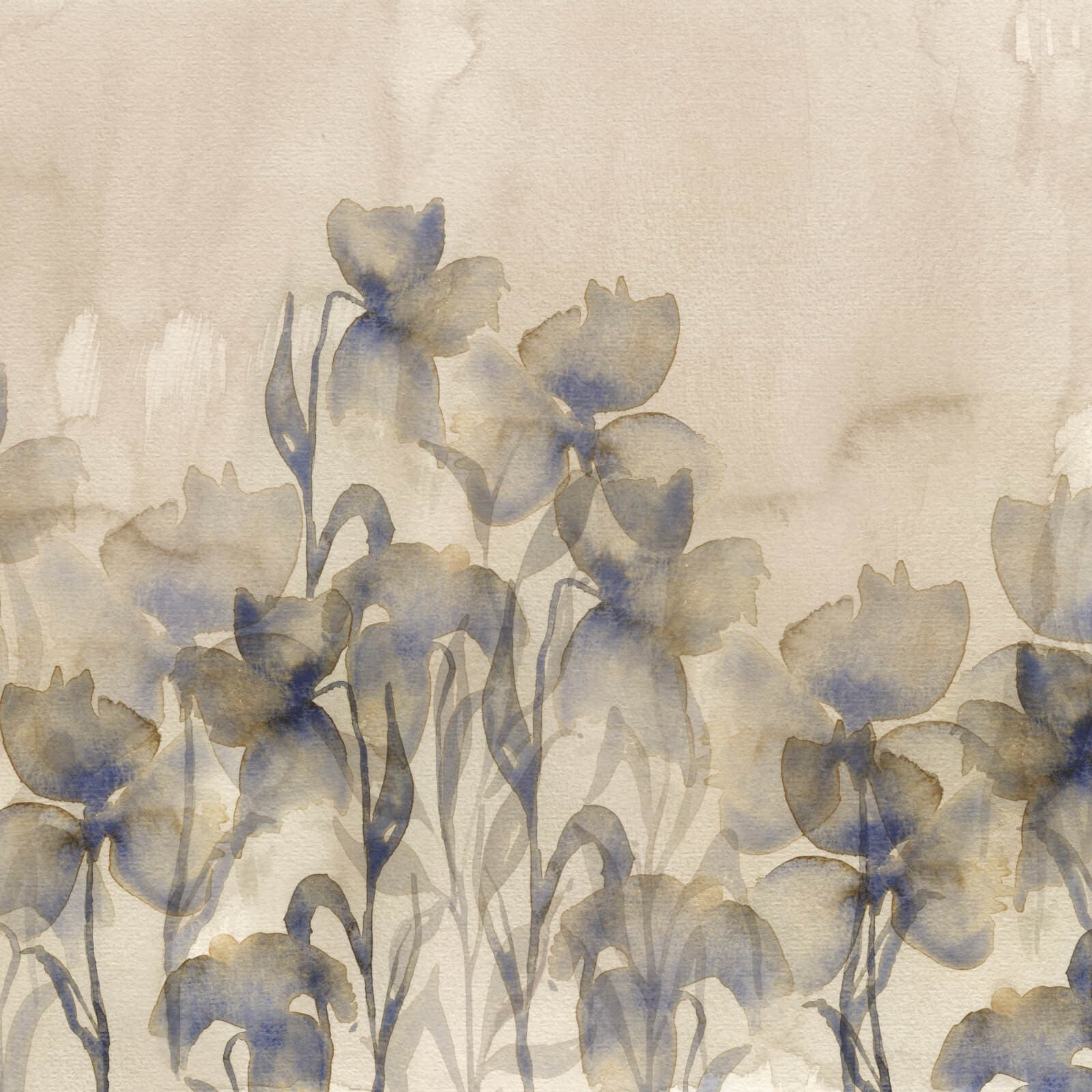 Iris by Project II