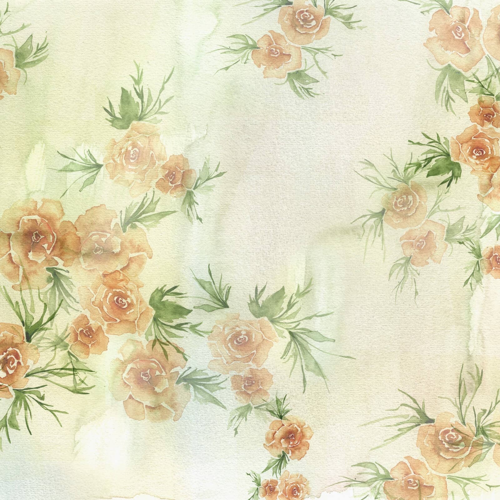Rose by Project II