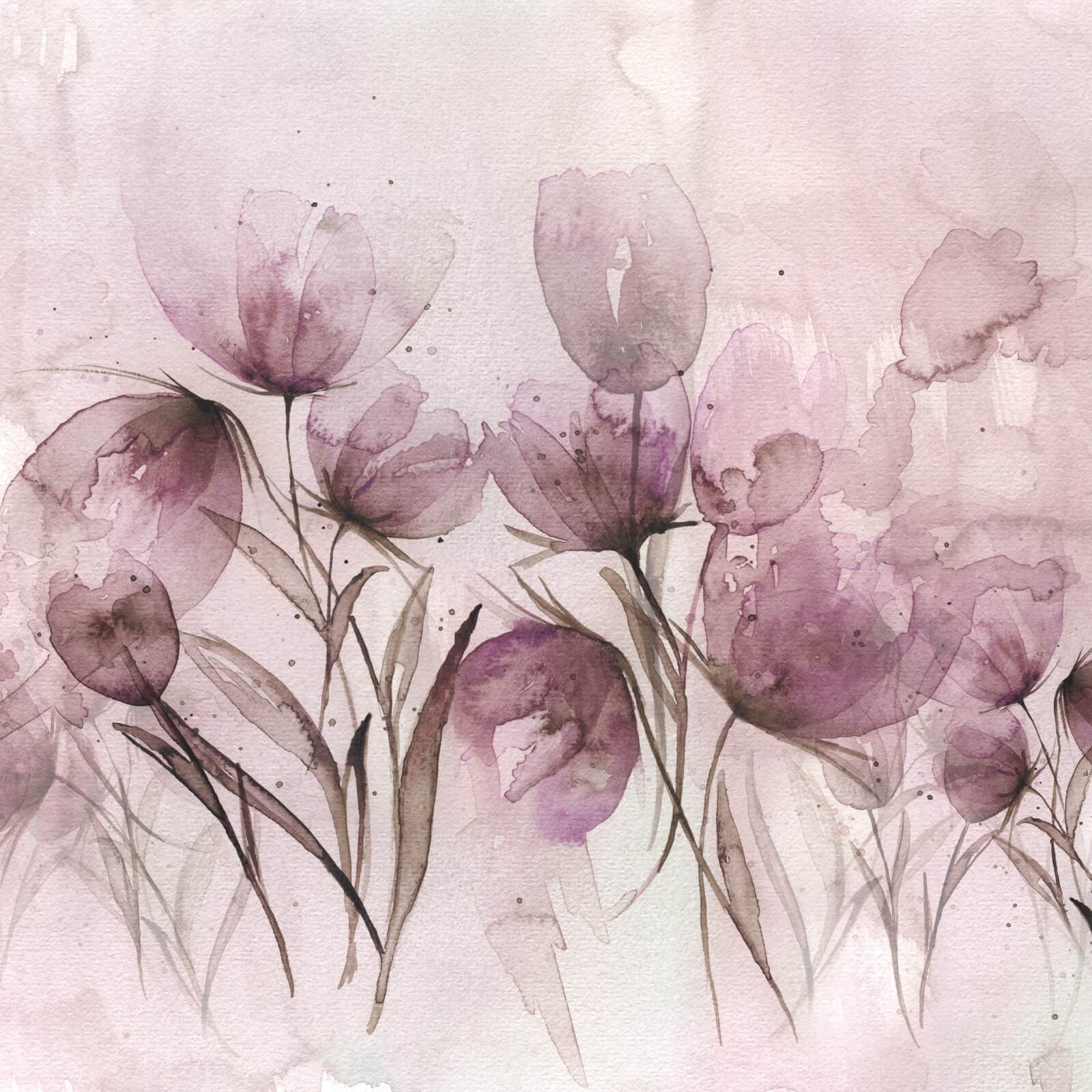 Tulipani by Project II