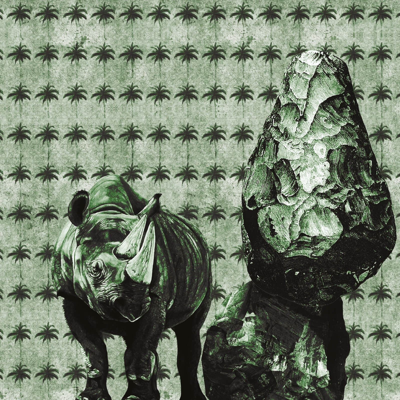 Rhino by Project II